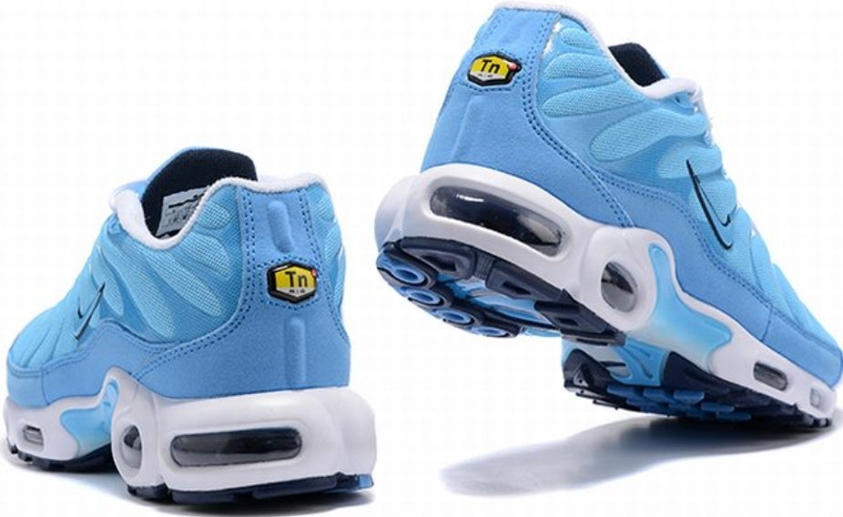 Nike tn air max plus 2021