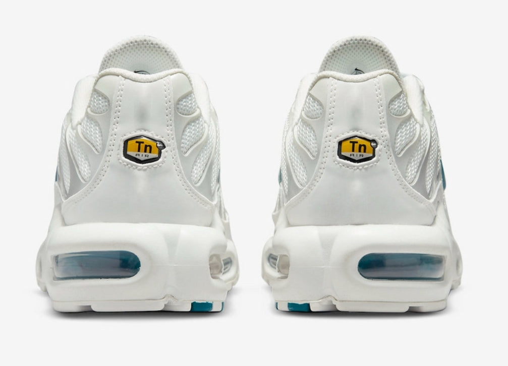 Nike tn air max plus 2021