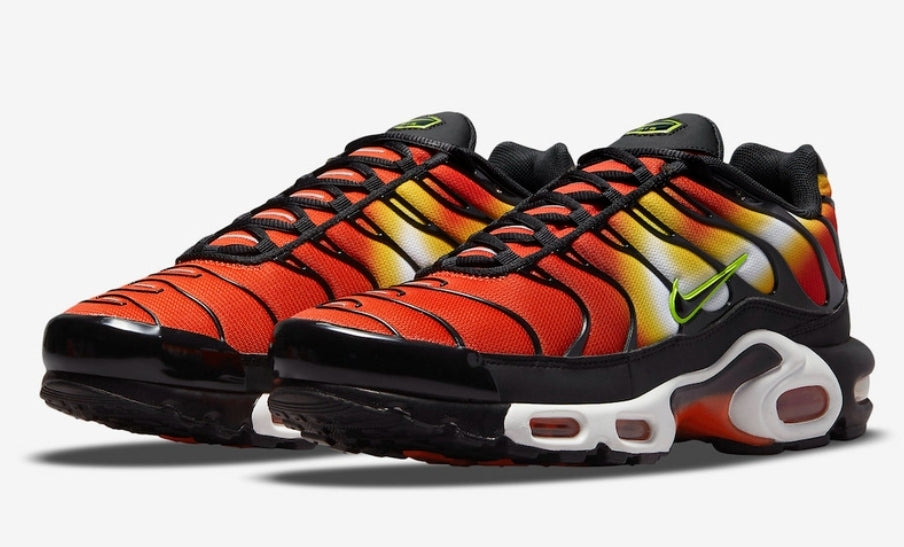 Nike tn air max plus 2021