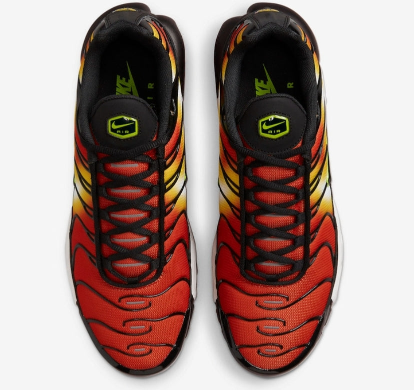 Nike tn air max plus 2021