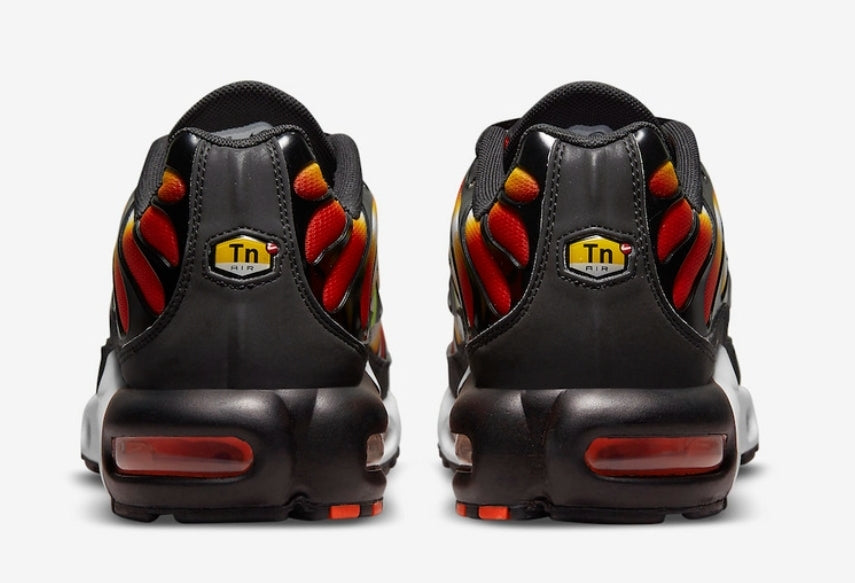 Nike tn air max plus 2021