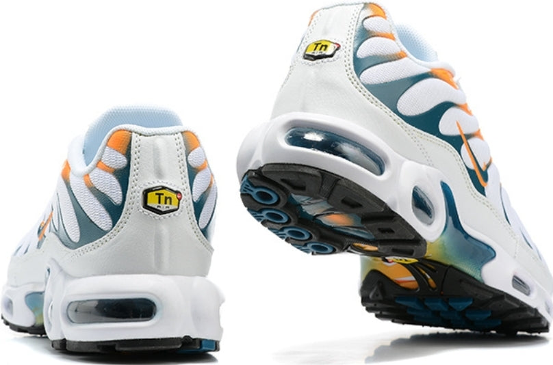 Nike tn air max plus 2021