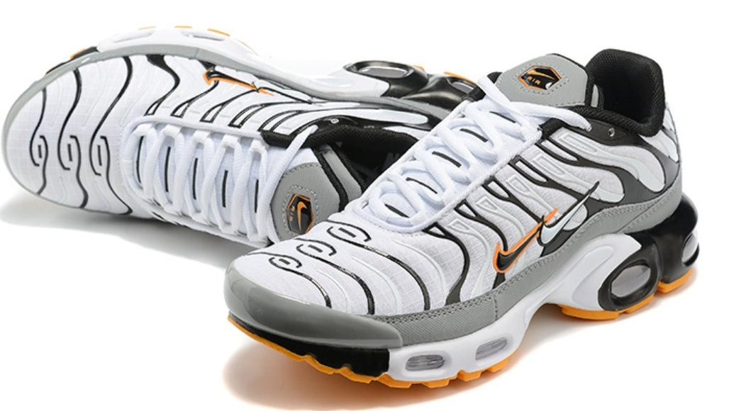 Nike tn air max plus 2021