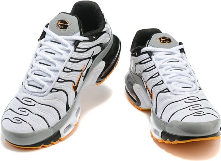 Nike tn air max plus 2021
