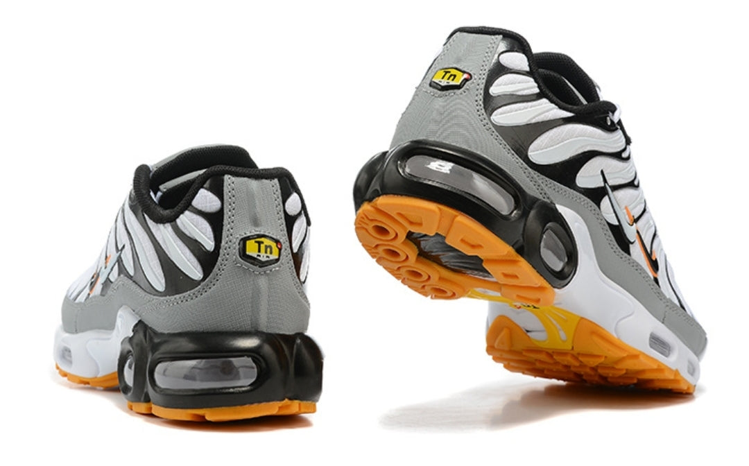 Nike tn air max plus 2021