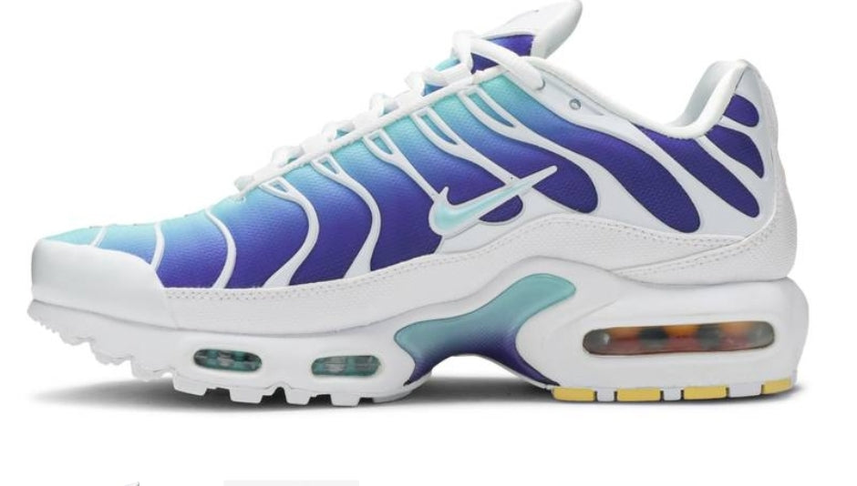 Nike tn air max plus 2021