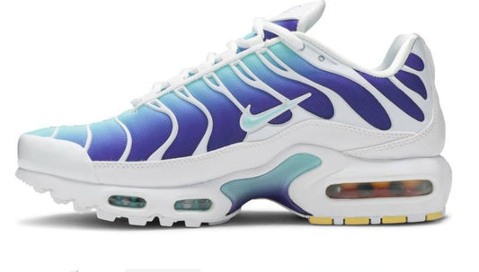 baskets Nike Air Max Plus Bleached Aqua Fierce Purple