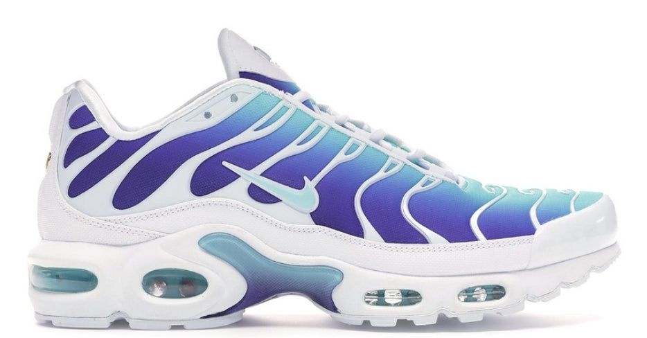 Nike tn air max plus 2021
