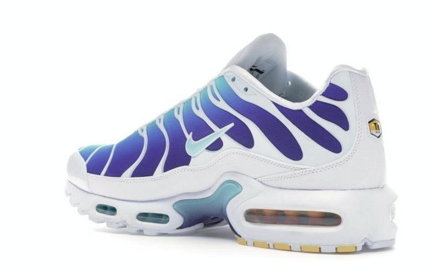 Nike tn air max plus 2021