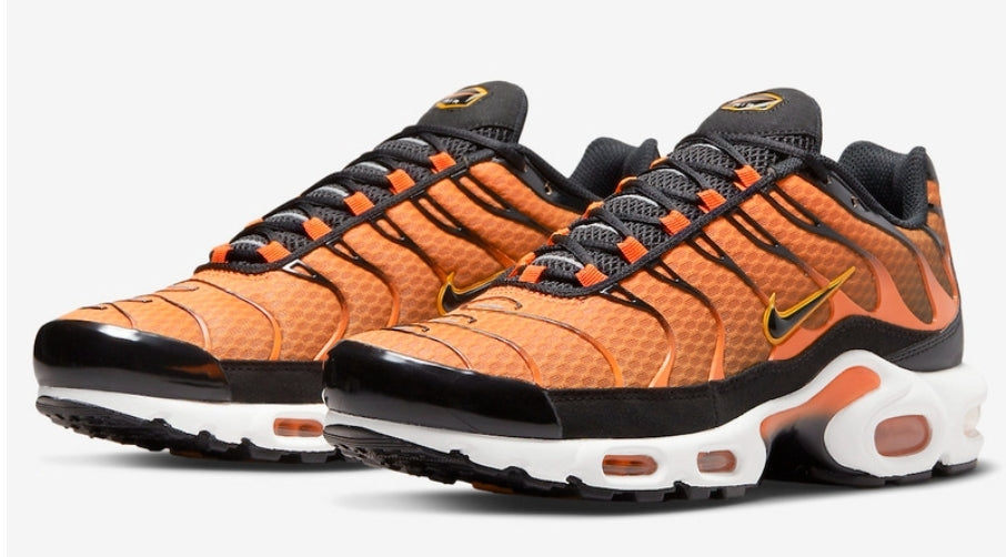 Nike tn air max plus 2021