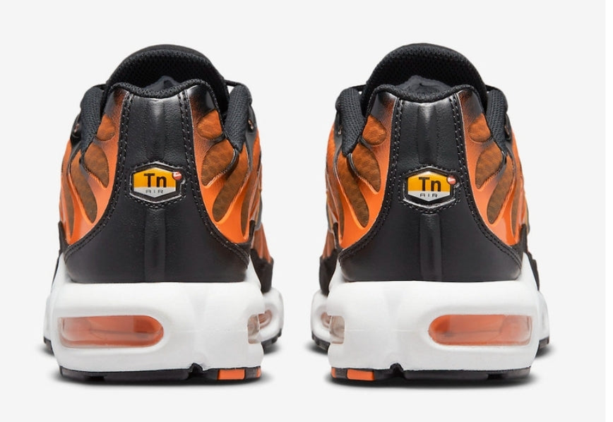 Nike tn air max plus 2021