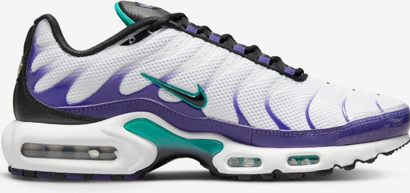 Nike tn air max plus 2021
