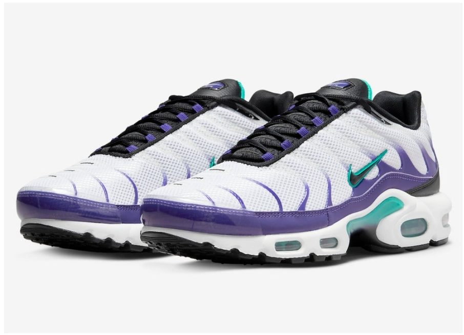 Nike tn air max plus 2021