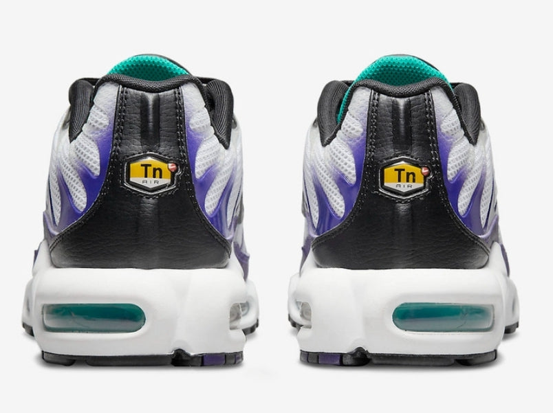 Nike tn air max plus 2021