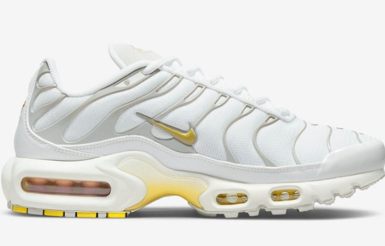 Nike tn air max plus 2021