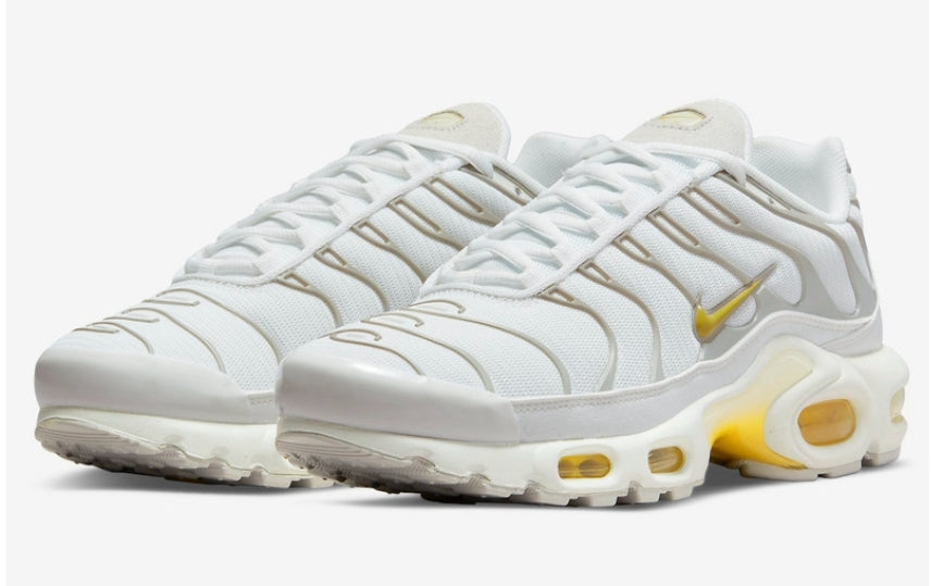 Nike tn air max plus 2021