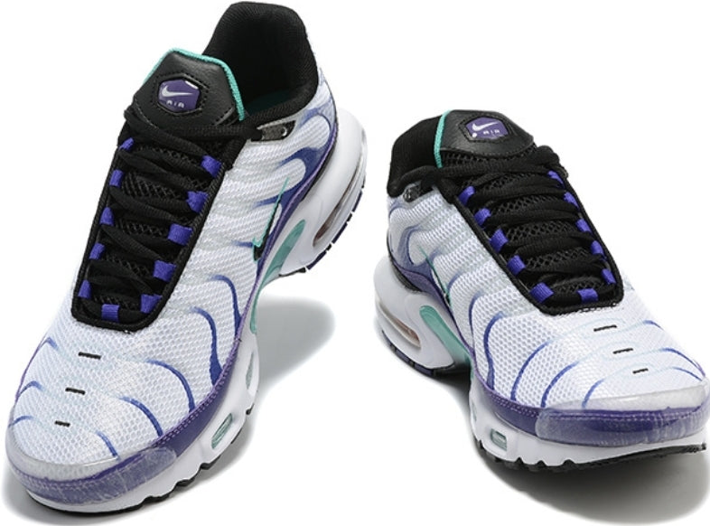 baskets Nike Air Max Plus « Grape »