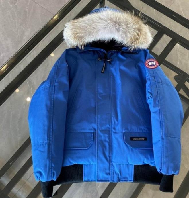 Résultat de l'évolution emblématique de la marque Canada G00se Femme, la Doudoune Canada G00se Femme est un témoignage de l'engagement de Canada G00se à combiner style,