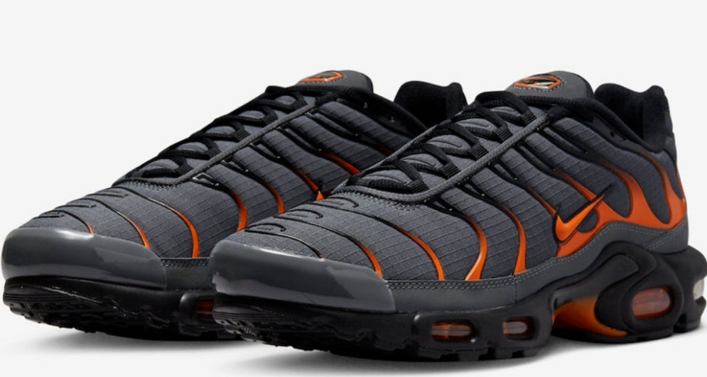 Nike tn air max plus 2021