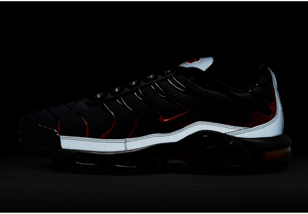 Nike tn air max plus 2021