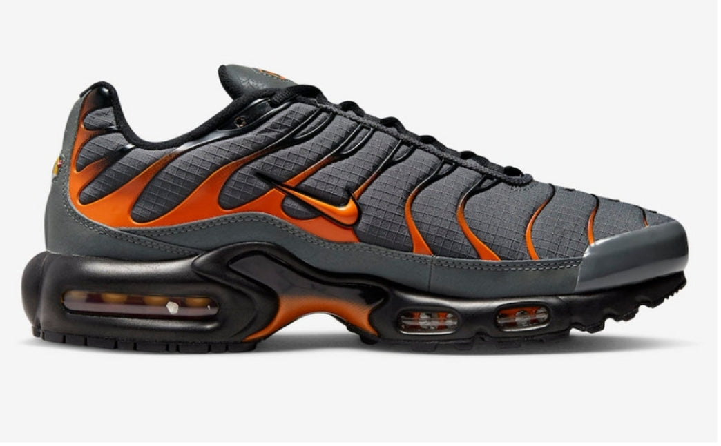 Nike tn air max plus 2021