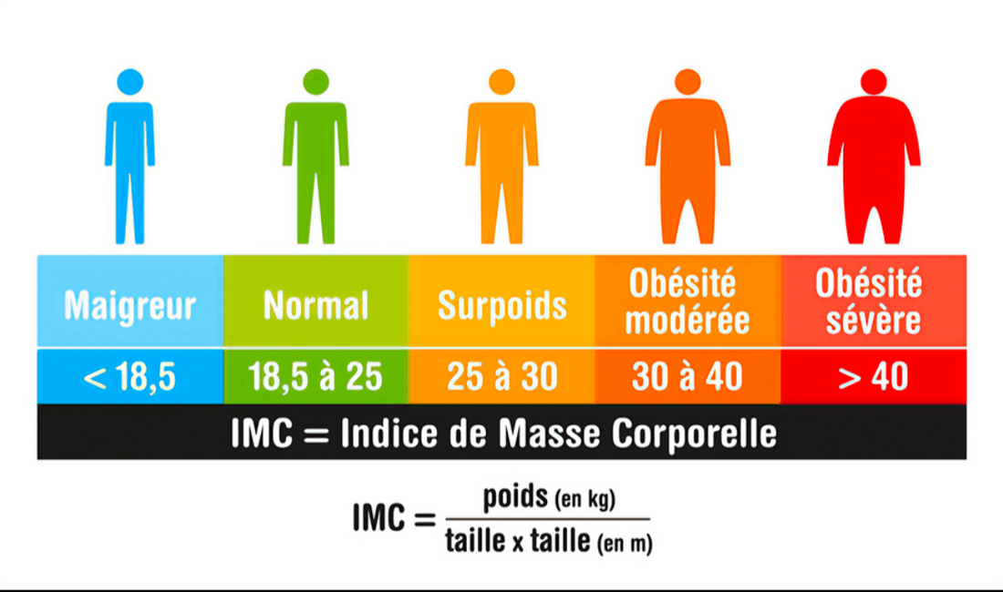  l'IMC : Un outil pour évaluer votre santé  L'indice de masse corporelle (IMC) est un outil largement utilisé pour évaluer la santé corporelle d'une personne.