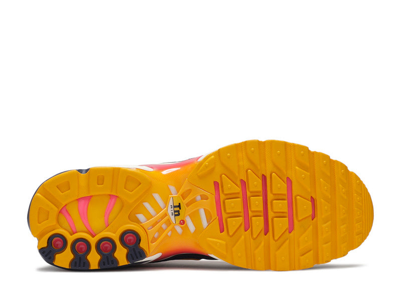 les baskets Nike TN Air Max Plus Femme sont un témoignage de l'engagement de Nike à combiner style et innovation. Exceptionnel 