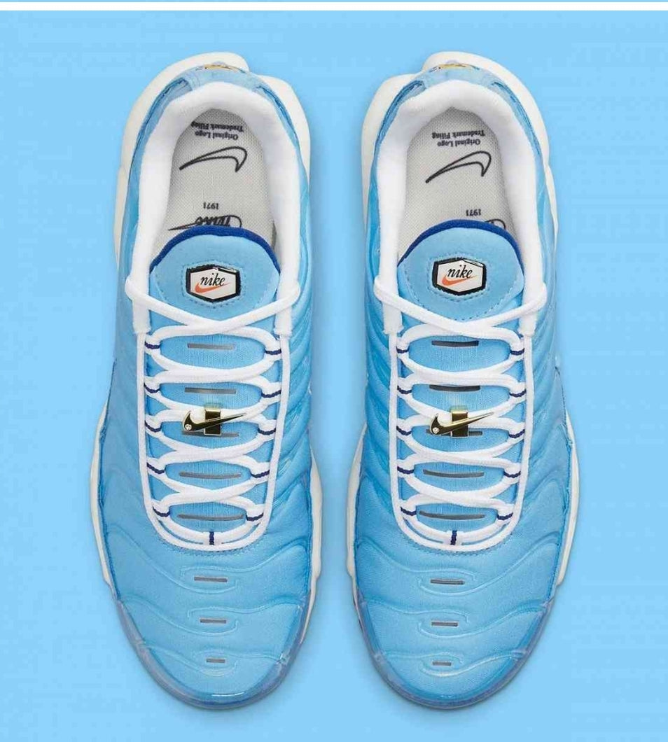 Nike tn air max plus 2021