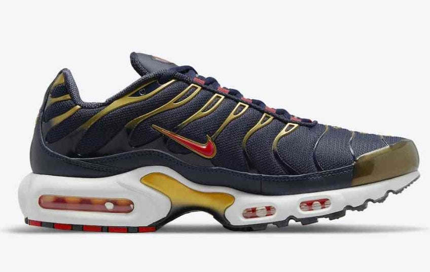 Nike tn air max plus 2021
