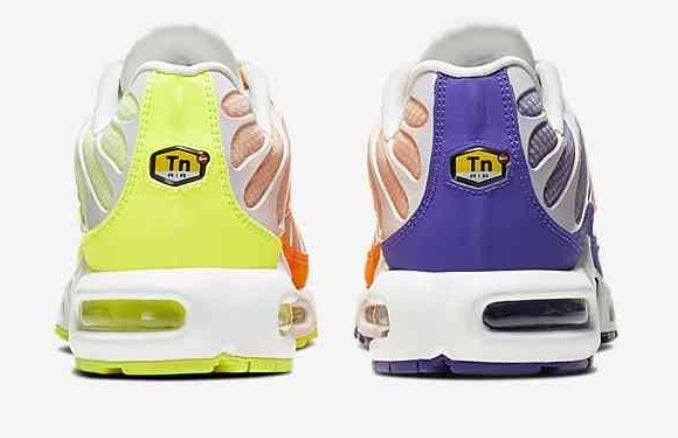 baskets Nike Air Max Plus tn  Color Flip