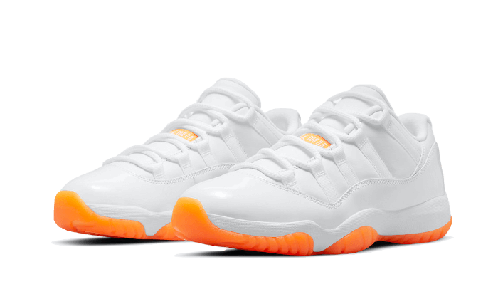 Les baskets Air Jordan 11 offrent un style iconique et une performance légendaire.

De plus, leur design emblématique et leur utilisation.