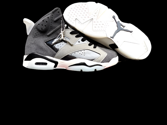 Baskets Air Jordan 6 WMNS Tech Chrome
