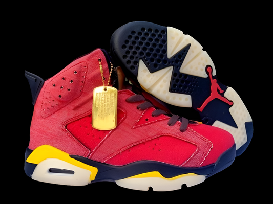 Air Jordan 6 sneakers