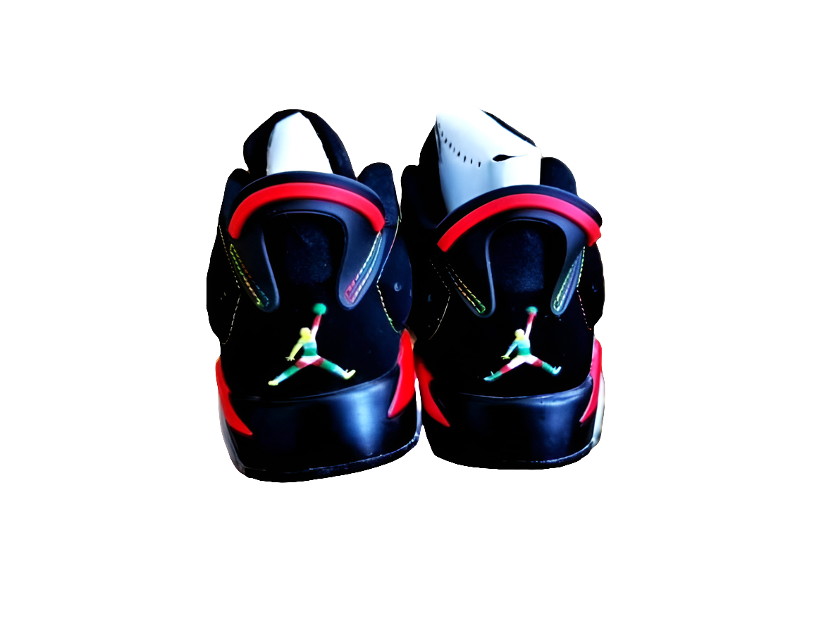 Air Jordan 6 sneakers