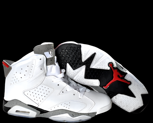 Baskets air Jordan 6