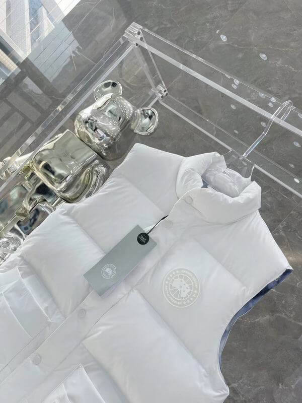 Résultat de l'évolution emblématique de la marque Canada G00se Femme,