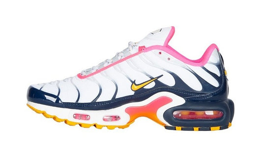 les baskets Nike TN Air Max Plus sont un témoignage de l'engagement de Nike à combiner style et innovation.