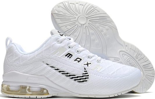 Nike air max 2020