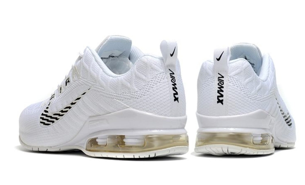 Nike air max 2020