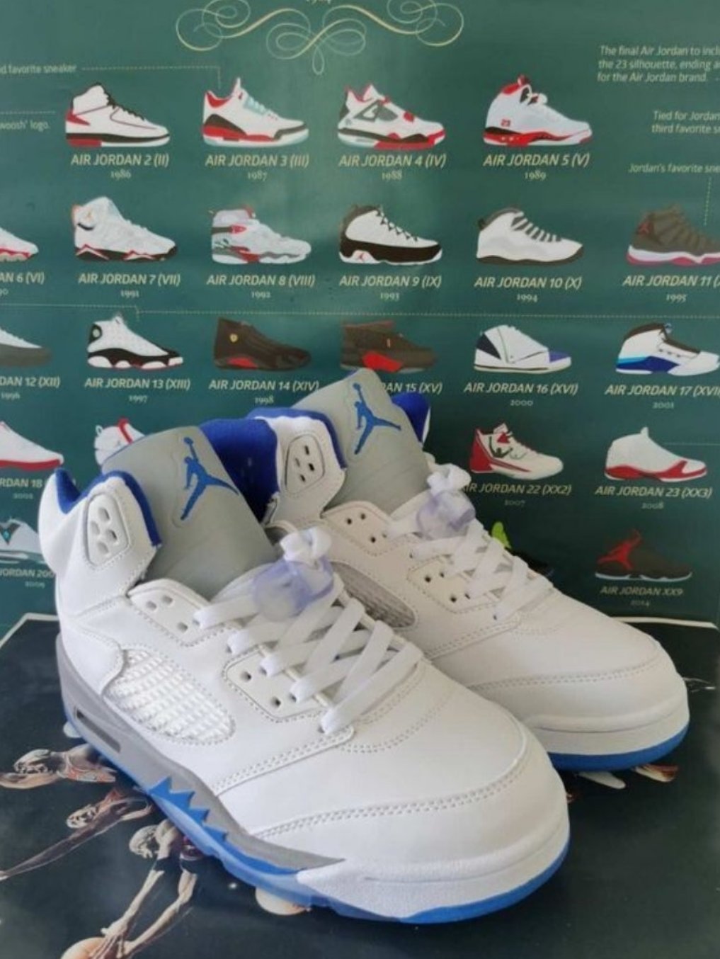 Les baskets Air Jordan 5 offrent un style audacieux et une performance exceptionnelle. leur design unique emblématique. Pas cher. Le moins cher. 