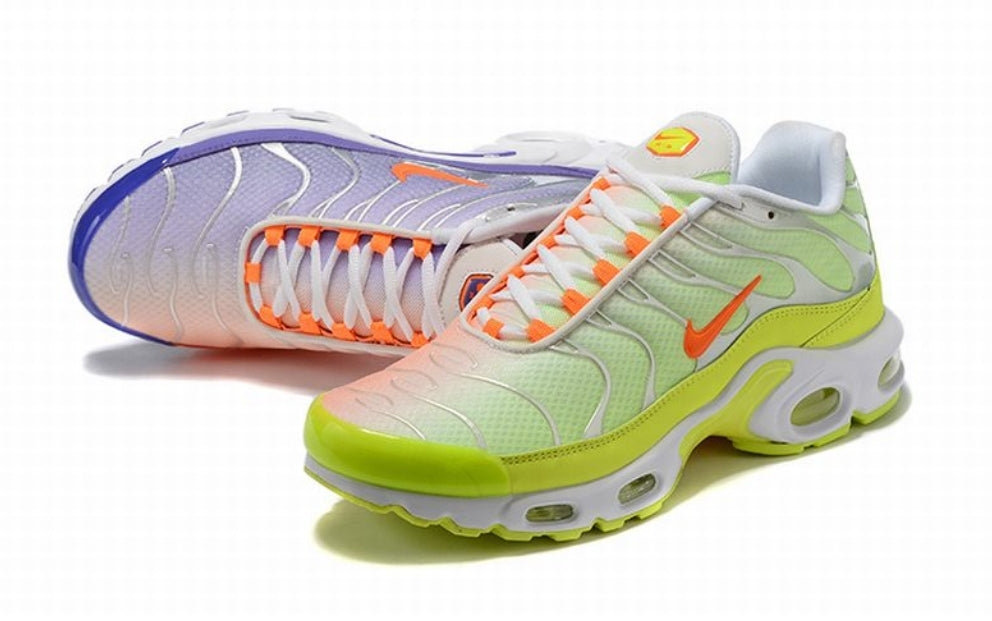 baskets Nike Air Max Plus tn  Color Flip