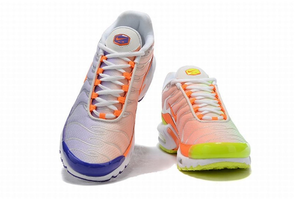 baskets Nike Air Max Plus tn  Color Flip