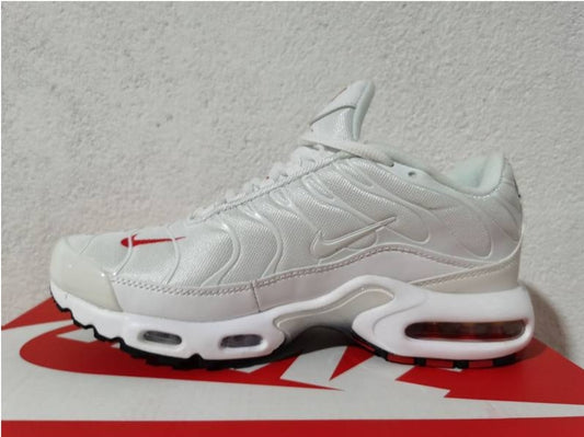 baskets Nike tn air max 2021