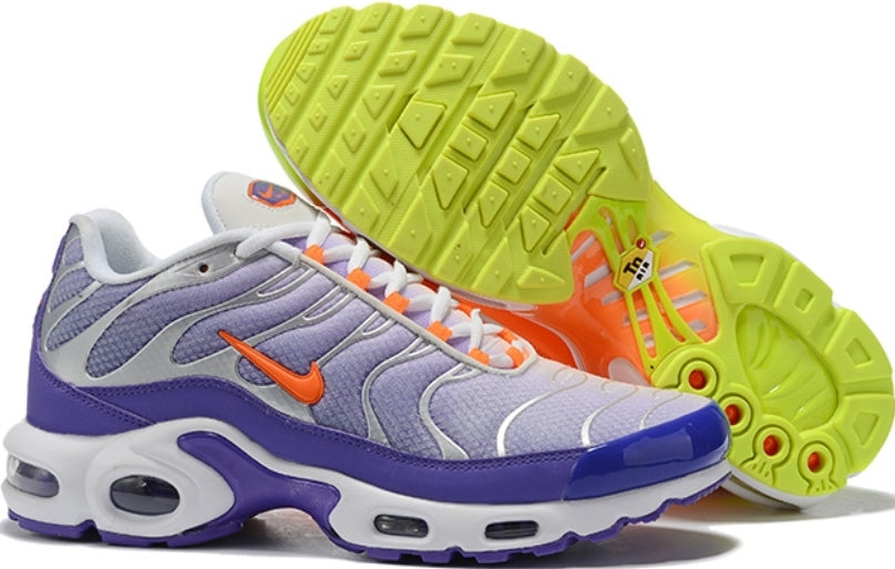 baskets Nike Air Max Plus tn  Color Flip