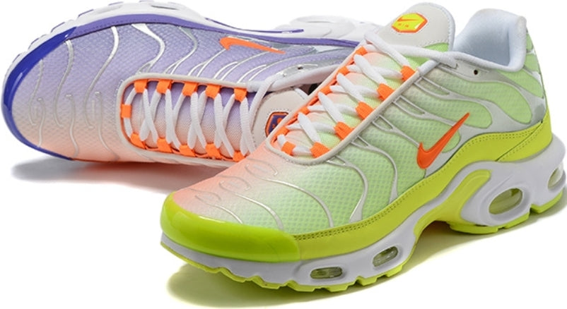 baskets Nike Air Max Plus tn  Color Flip