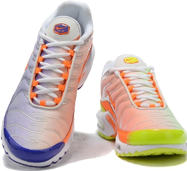 baskets Nike Air Max Plus tn  Color Flip