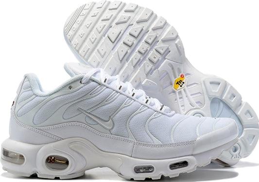 Nike tn air max plus 2021