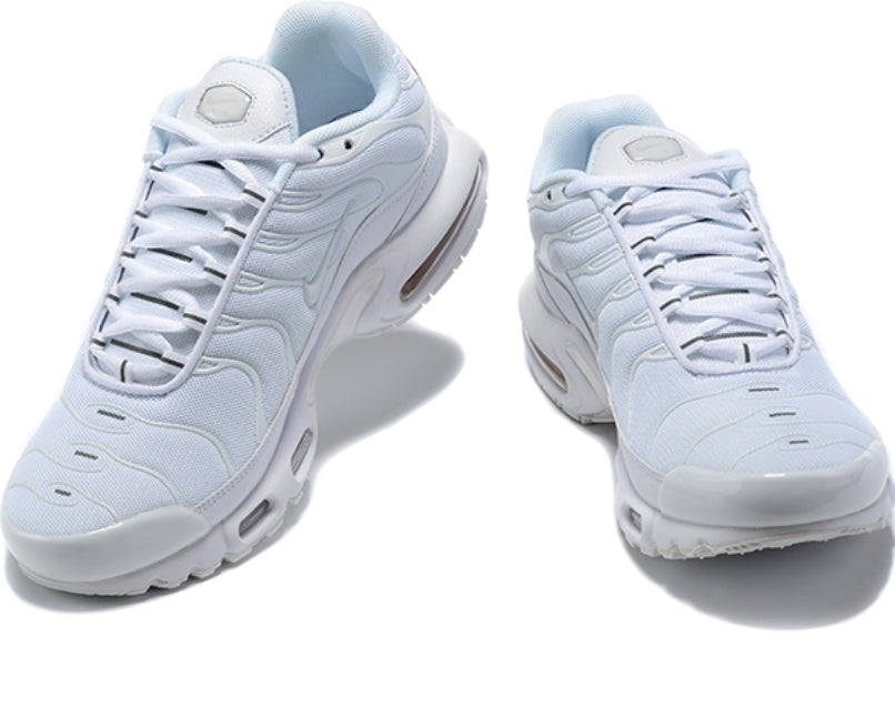Nike tn air max plus 2021