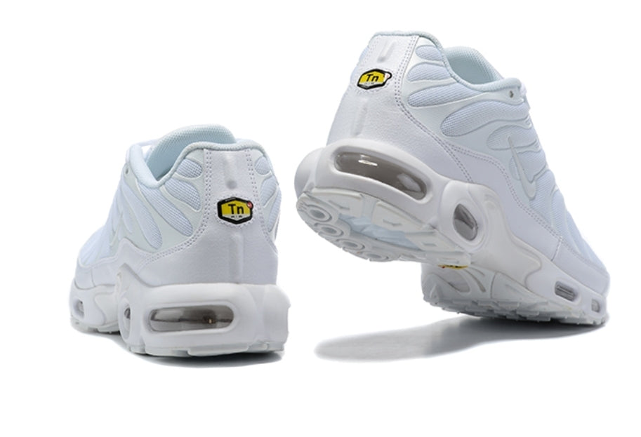 Nike tn air max plus 2021