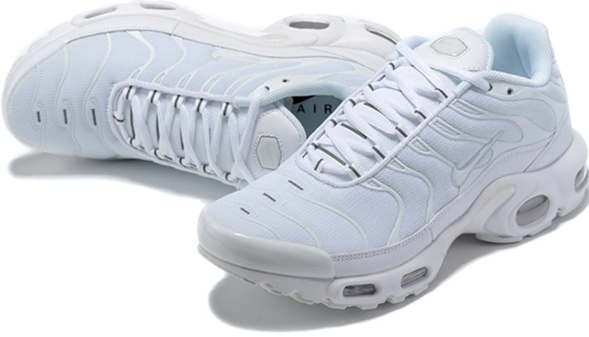 Nike tn air max plus 2021